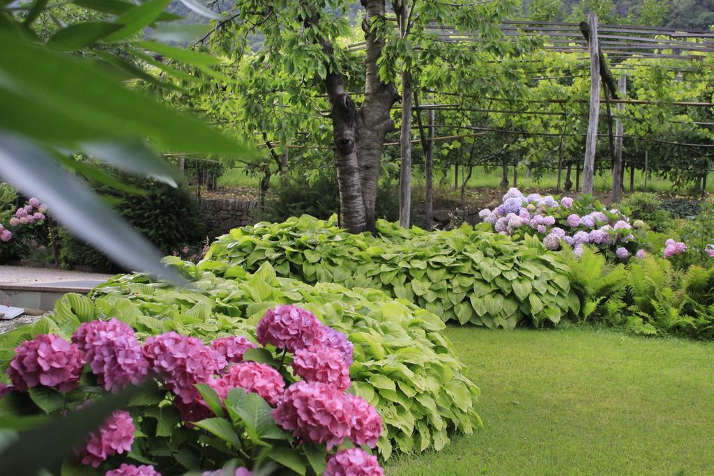 Apartments Gasserhof ลากุนโด ภายนอก รูปภาพ